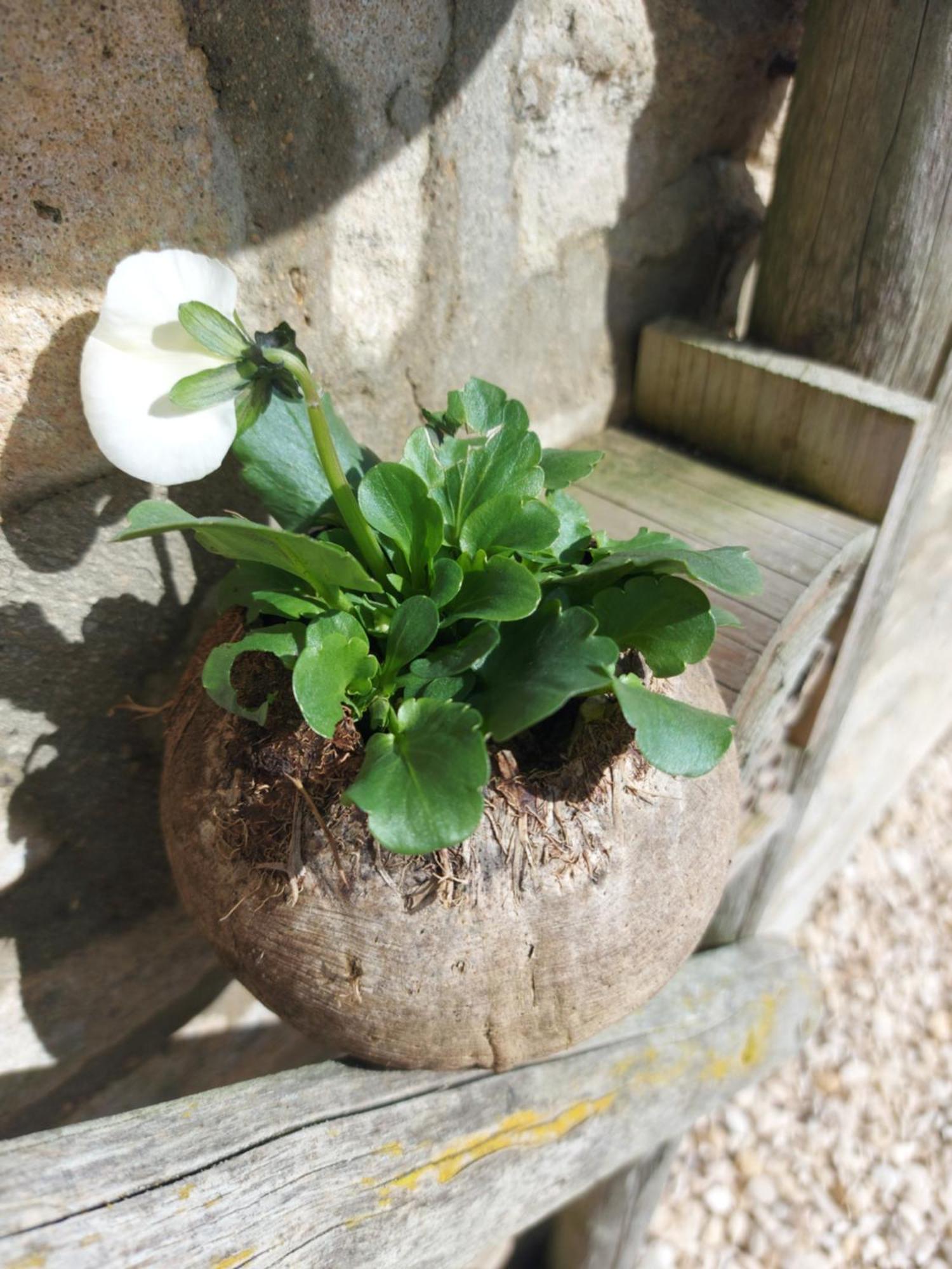 Thames Head Wharf - Historic Cotswold Cottage With Stunning Countryside Views Cirencester Exteriér fotografie